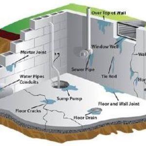 Meet your Posher, Collins